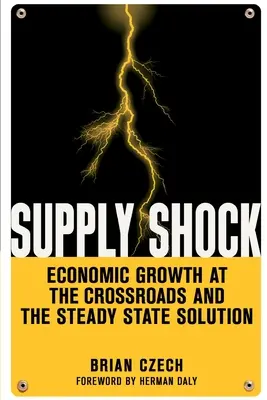 Șocul ofertei: creșterea economică la răscruce de drumuri și soluția stării constante - Supply Shock: Economic Growth at the Crossroads and the Steady State Solution