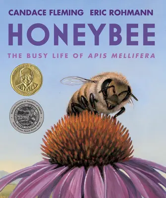 Albina de miere: Viața aglomerată a APIs Mellifera - Honeybee: The Busy Life of APIs Mellifera