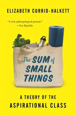The Sum of Small Things (Suma lucrurilor mărunte): O teorie a clasei aspiraționale - The Sum of Small Things: A Theory of the Aspirational Class