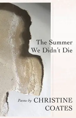 Vara în care nu am murit (The Summer We Didn't Die) - The Summer We Didn't Die
