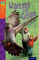 Oxford Reading TreeTops Fiction: Nivelul 13: Waiting for Goldie - Oxford Reading Tree TreeTops Fiction: Level 13: Waiting for Goldie