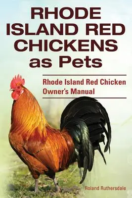 Puii roșii Rhode Island ca animale de companie. Manualul proprietarului de pui roșii Rhode Island - Rhode Island Red Chickens as Pets. Rhode Island Red Chicken Owner's Manual