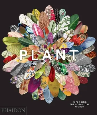 Planta: Explorarea lumii botanice - Plant: Exploring the Botanical World