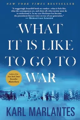 Cum e să mergi la război - What It Is Like to Go to War