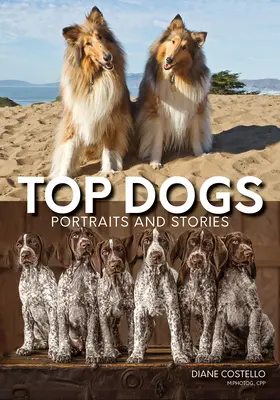Top Dogs: Portrete și povești - Top Dogs: Portraits and Stories