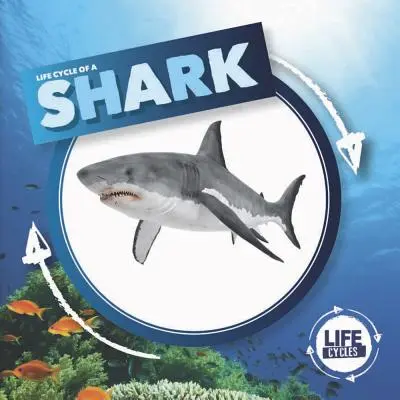 Rechinul - Shark
