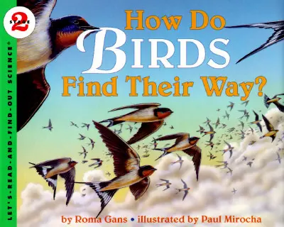 Cum își găsesc păsările drumul? - How Do Birds Find Their Way?