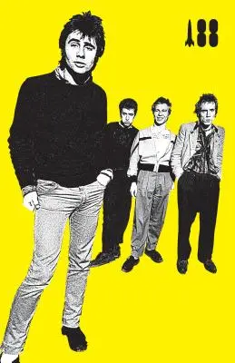 Am fost o adolescentă Sex Pistol - I Was a Teenage Sex Pistol