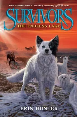Supraviețuitorii #5: Lacul fără sfârșit - Survivors #5: The Endless Lake