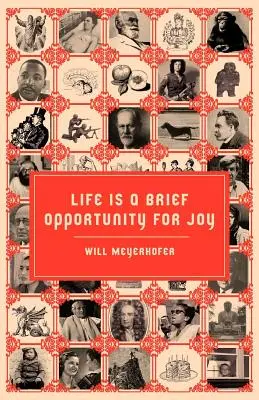Viața este o scurtă ocazie de bucurie - Life is a Brief Opportunity for Joy
