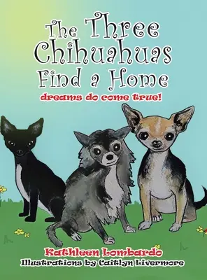 Cei trei chihuahua își găsesc o casă - The Three Chihuahuas Find a Home