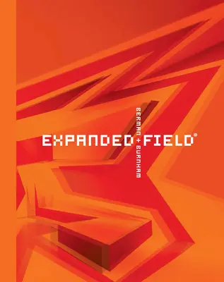 Câmp extins: Arhitectura instalațiilor dincolo de artă - Expanded Field: Installation Architecture Beyond Art