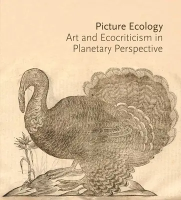 Picture Ecology: Artă și ecocritică în perspectivă planetară - Picture Ecology: Art and Ecocriticism in Planetary Perspective