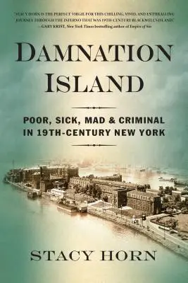 Insula damnării: Săraci, bolnavi, nebuni și criminali în New York-ul secolului al XIX-lea - Damnation Island: Poor, Sick, Mad, and Criminal in 19th-Century New York