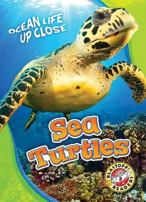 Țestoasele de mare - Sea Turtles