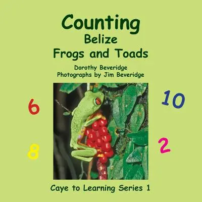 Numărarea broaștelor și broaștelor din Belize - Counting Belize Frogs and Toads