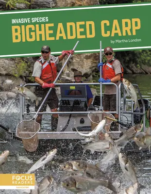 Crap cu cap mare - Bigheaded Carp
