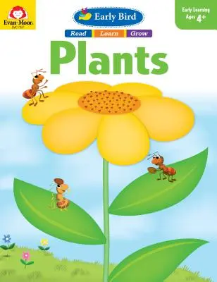 Plantele Early Bird - Early Bird Plants