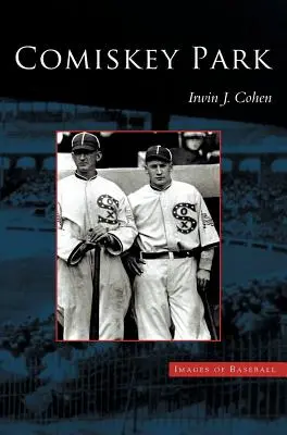 Parcul Comiskey - Comiskey Park