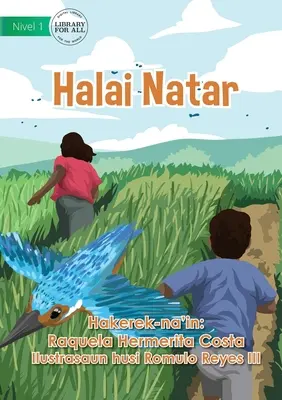 Cultivarea orezului - Halai Natar - Rice Cultivation - Halai Natar