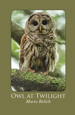 Owl at Twilight (Bufniță în amurg) - Owl at Twilight