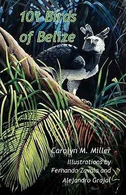 101 păsări din Belize - 101 Birds of Belize
