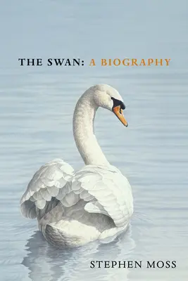Lebăda - The Swan