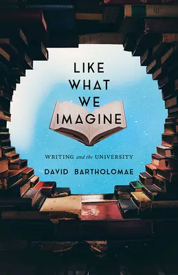 Ca ceea ce ne imaginăm: Scrisul și universitatea - Like What We Imagine: Writing and the University