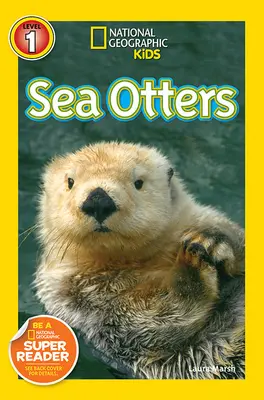 Vidre de mare - Sea Otters