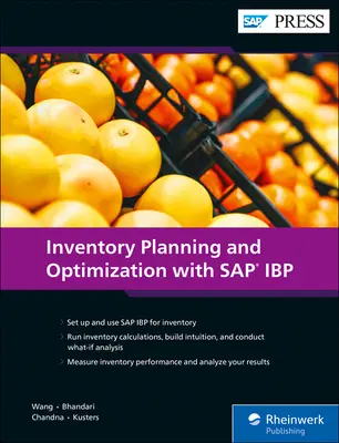 Planificarea și optimizarea stocurilor cu SAP IBP - Inventory Planning and Optimization with SAP IBP