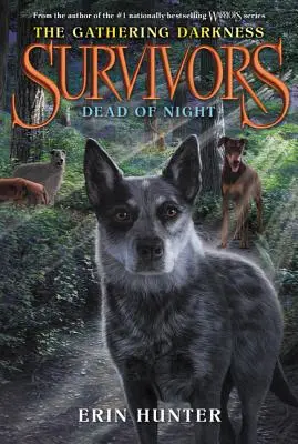 Supraviețuitori: The Gathering Darkness #2: Dead of Night - Survivors: The Gathering Darkness #2: Dead of Night