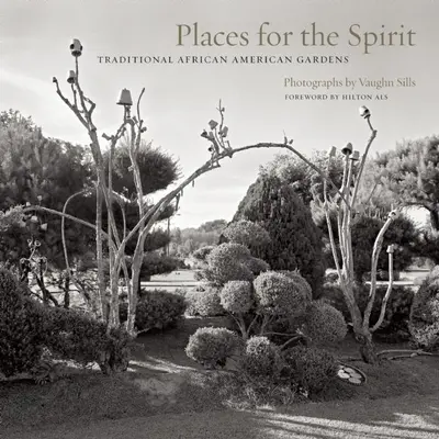 Locuri pentru spirit: Grădini tradiționale afro-americane - Places for the Spirit: Traditional African American Gardens