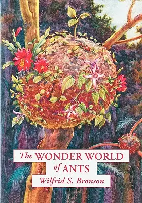 Lumea minunată a furnicilor - The Wonder World of Ants