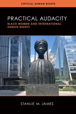 Audacity practică: Femeile de culoare și drepturile internaționale ale omului - Practical Audacity: Black Women and International Human Rights