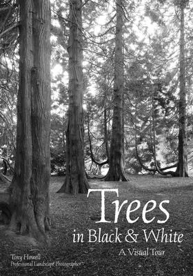 Copaci în alb și negru: Un tur vizual - Trees in Black & White: A Visual Tour