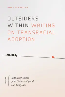 Outsiders Within: Scrieri despre adopția transrasială - Outsiders Within: Writing on Transracial Adoption