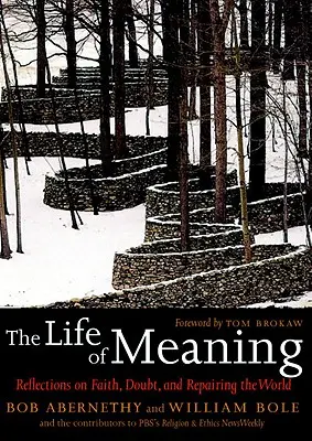 The Life of Meaning (Viața sensului): Reflections on Faith, Doubt, and Repairing the World (Reflecții despre credință, îndoială și repararea lumii) - The Life of Meaning: Reflections on Faith, Doubt, and Repairing the World
