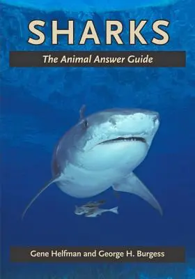 Rechinii: Ghidul răspunsurilor animalelor - Sharks: The Animal Answer Guide