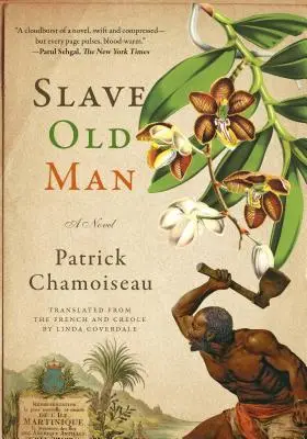 Bătrânul sclav - Slave Old Man