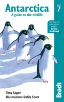 Antarctica: Un ghid al vieții sălbatice - Antarctica: A Guide to the Wildlife