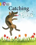 Prinderea muștelor - Catching Flies