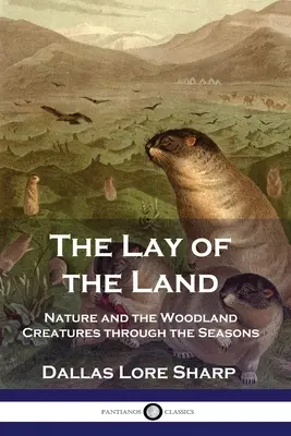 Lay of the Land: Natura și creaturile pădurii de-a lungul anotimpurilor - The Lay of the Land: Nature and the Woodland Creatures through the Seasons