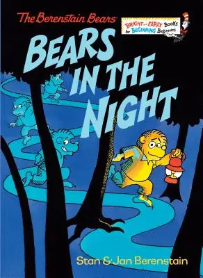Urșii în noapte - Bears in the Night