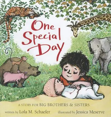O zi specială: O poveste pentru frații și surorile mai mari - One Special Day: A Story for Big Brothers and Sisters