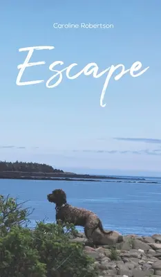 Evadare - Escape