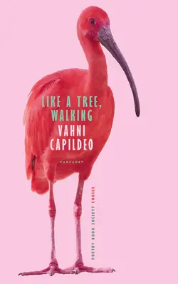 Ca un copac, mergând - Like a Tree, Walking