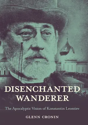 Vagabond dezamăgit - Disenchanted Wanderer