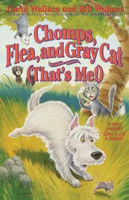 Chomps, puricele și pisica gri (Ăsta sunt eu!) - Chomps, Flea, and Gray Cat (That's Me!)