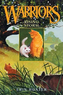 Furtună în creștere - Rising Storm