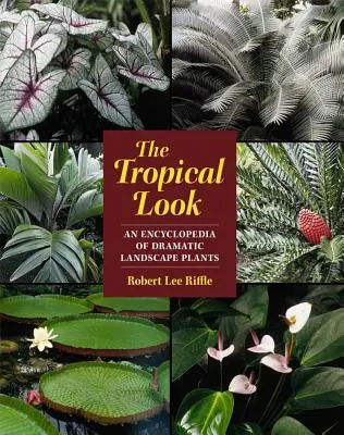 Aspectul tropical: O enciclopedie a plantelor dramatice de peisaj - The Tropical Look: An Encyclopedia of Dramatic Landscape Plants
